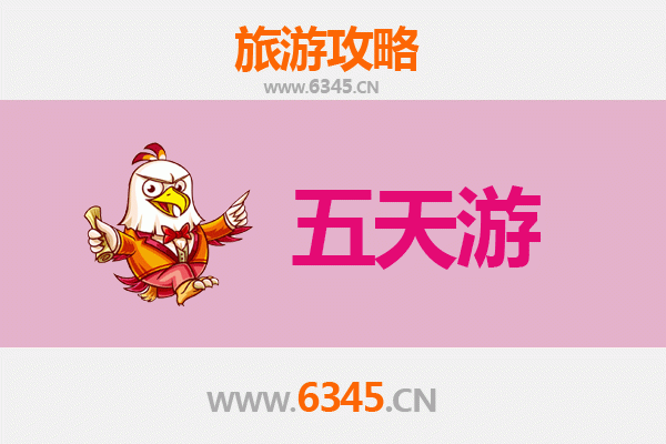 衡水饶阳五天四夜深度游攻略：探索非遗文化与田园风光